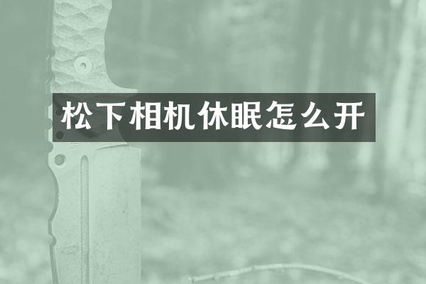 相机休眠怎么开