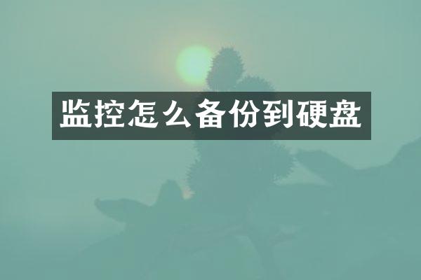 监控怎么备份到硬盘