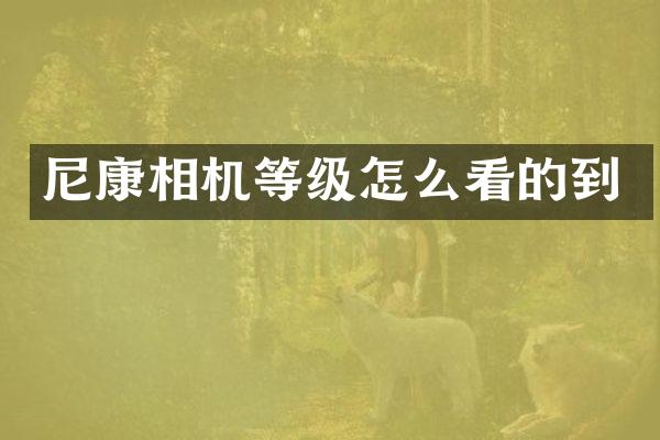 尼康相机等级怎么看的到