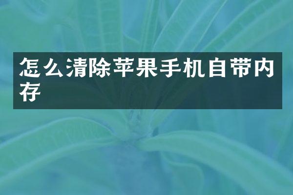怎么清除苹果手机自带内存