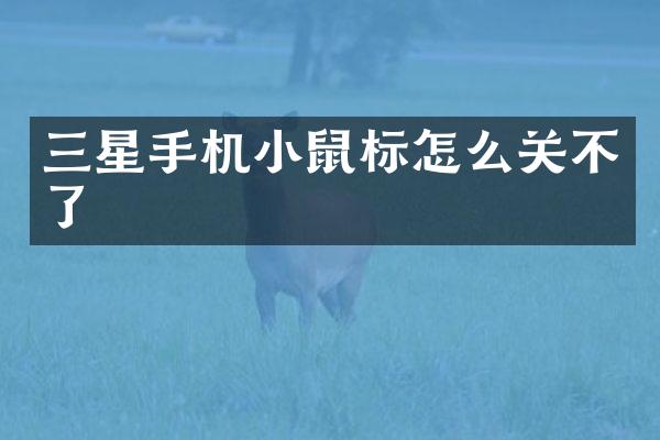 三星手机小鼠标怎么关不了