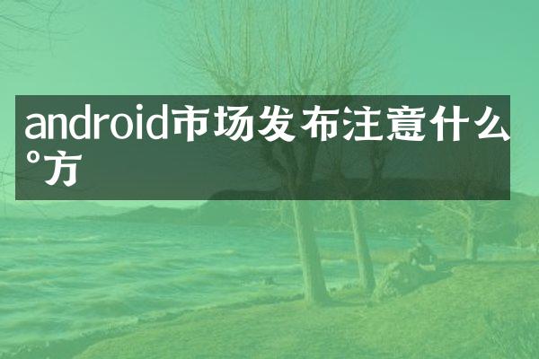 android市场发布注意什么地方