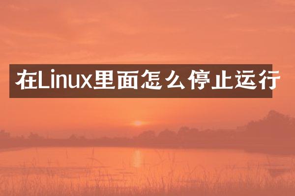 在Linux里面怎么停止运行