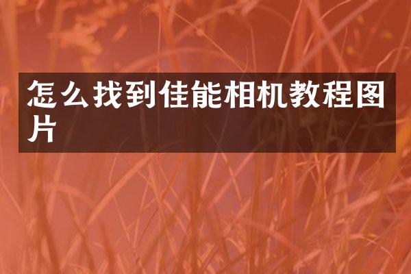 怎么找到佳能相机教程图片