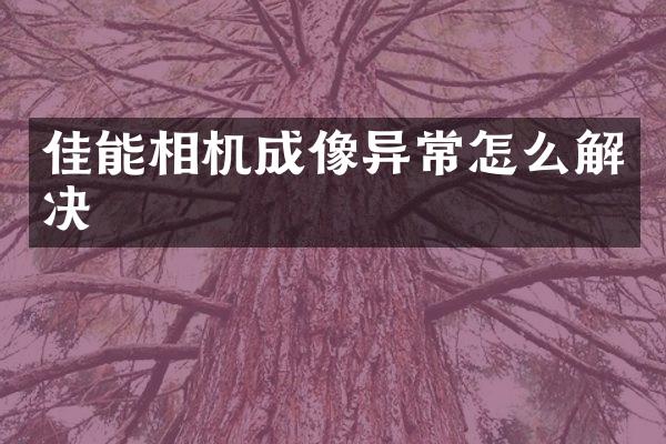 佳能相机成像异常怎么解决