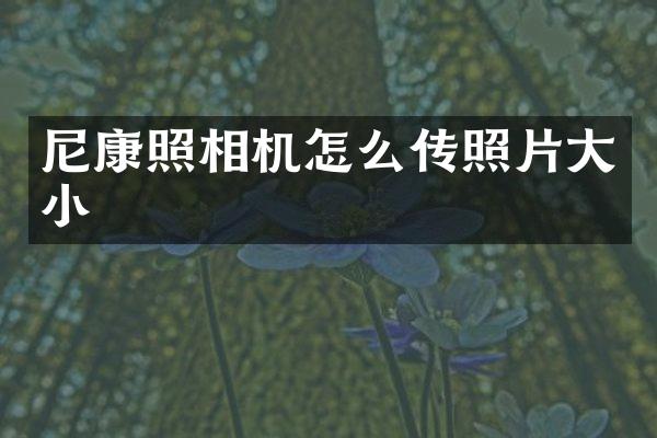 尼康照相机怎么传照片大小