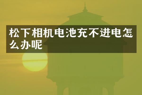 相机电池充不进电怎么办呢