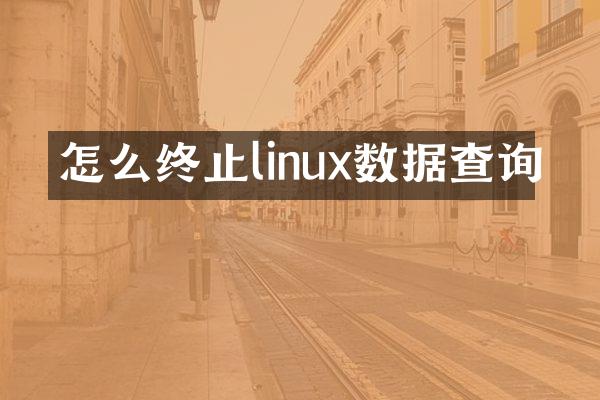 怎么终止linux数据查询