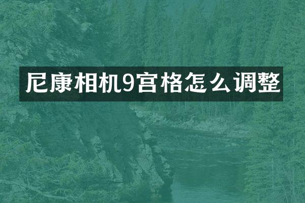 尼康相机9宫格怎么调整