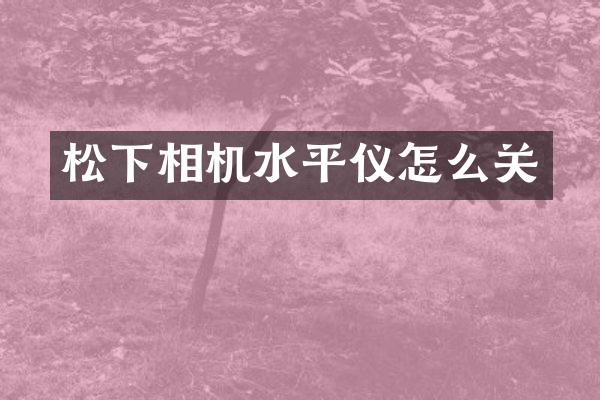 相机水平仪怎么关