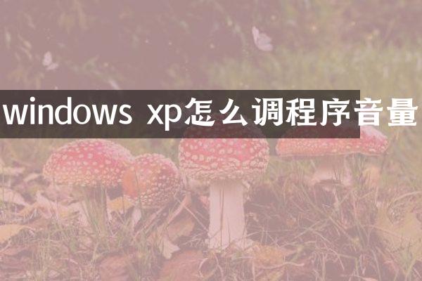 windows xp怎么调程序音量