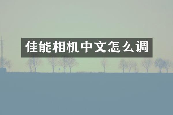 佳能相机中文怎么调