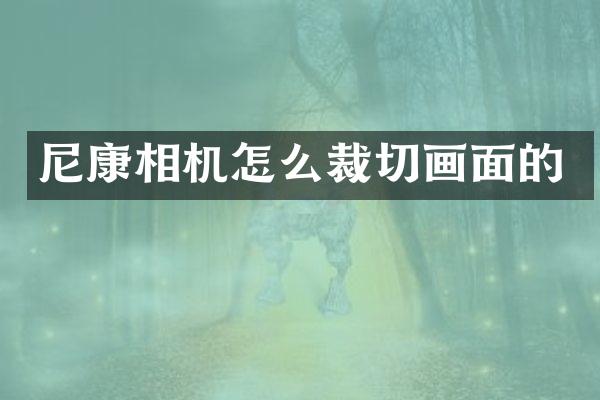 尼康相机怎么裁切画面的