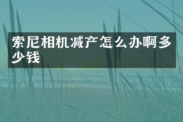 相机减产怎么办啊多少钱