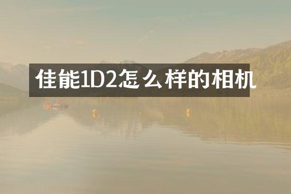 佳能1D2怎么样的相机