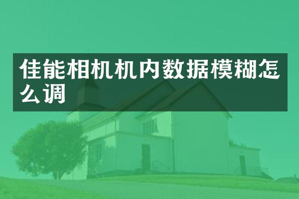 佳能相机机内数据模糊怎么调