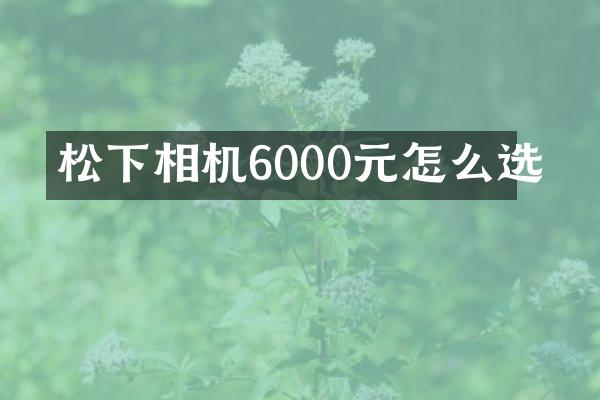 相机6000元怎么选