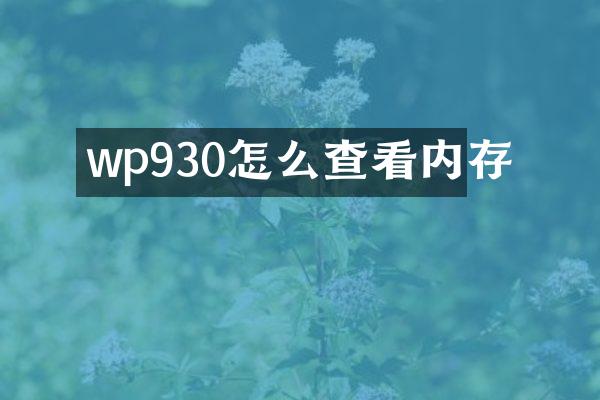 wp930怎么查看内存