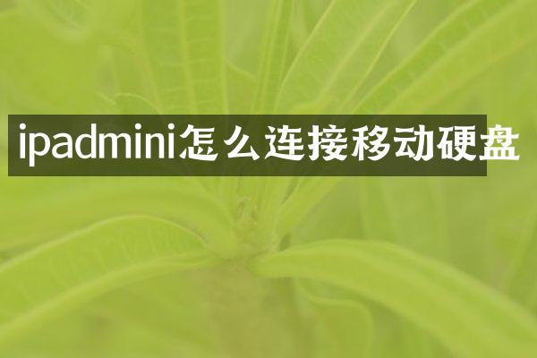 ipadmini怎么连接移动硬盘