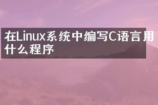 在Linux系统中编写C语言用什么程序