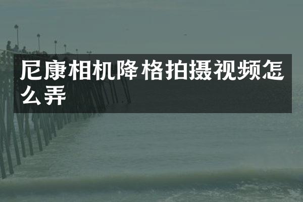尼康相机降格拍摄视频怎么弄