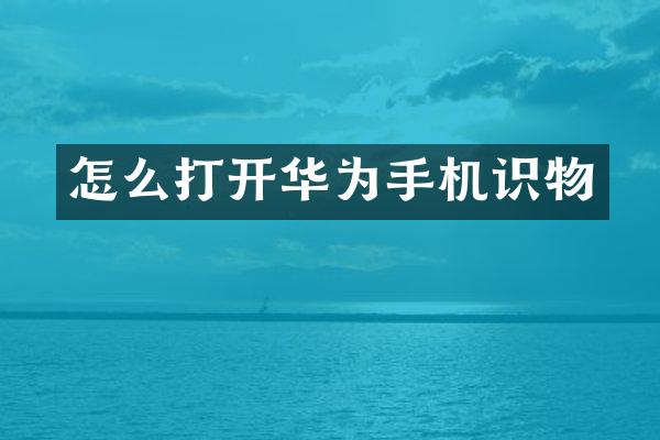 怎么打开华为手机识物