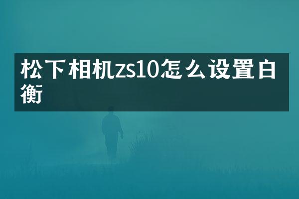 相机zs10怎么设置白平衡