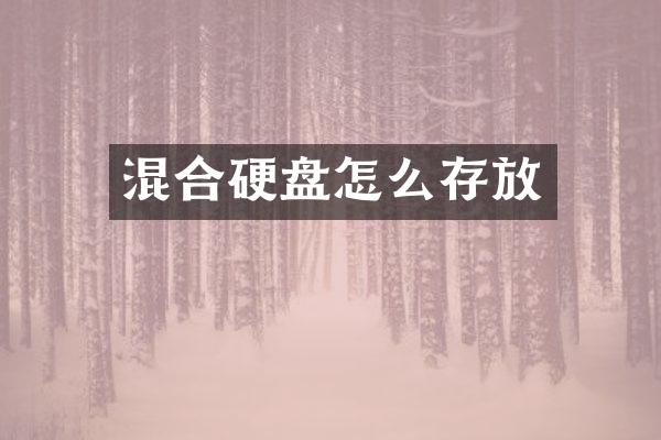 混合硬盘怎么存放