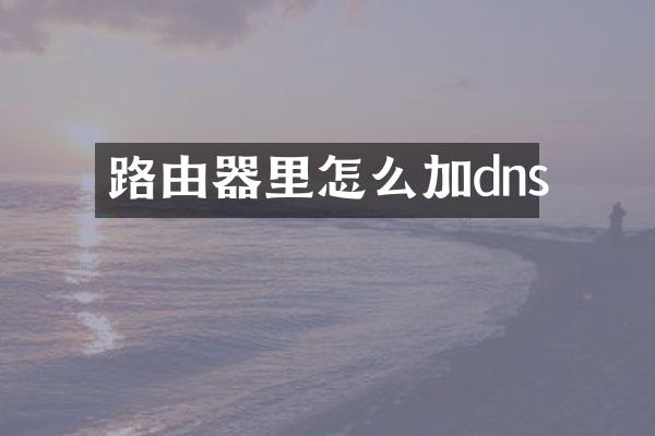 路由器里怎么加dns
