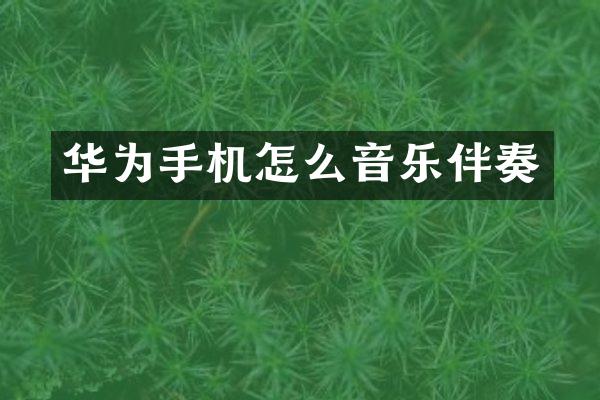 华为手机怎么音乐伴奏