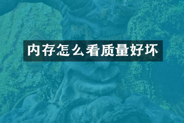 内存怎么看质量好坏