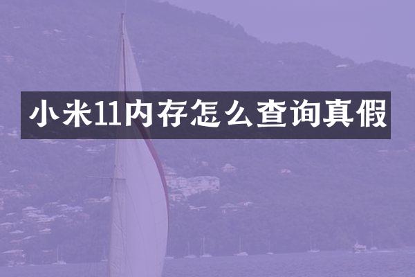 小米11内存怎么查询真假