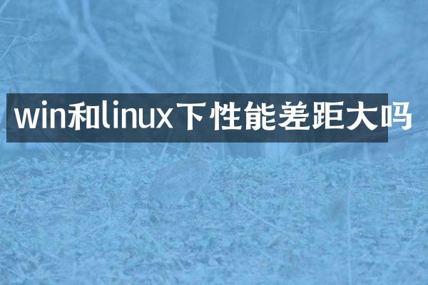 win和linux下性能差距大吗