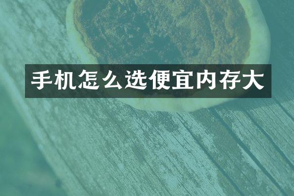 手机怎么选便宜内存大