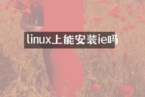 linux上能安装ie吗
