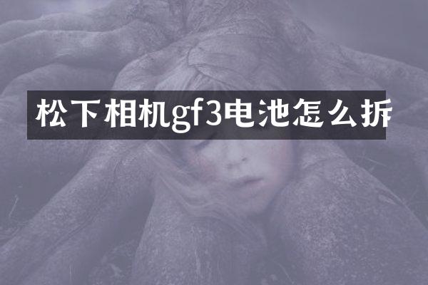 相机gf3电池怎么拆