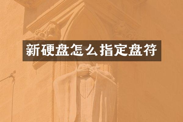 新硬盘怎么指定盘符
