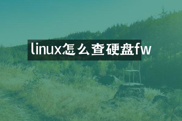 linux怎么查硬盘fw