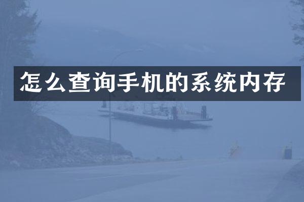怎么查询手机的系统内存