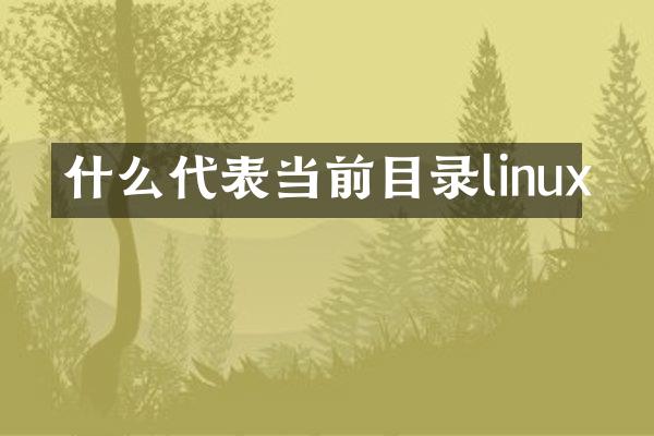 什么代表当前目录linux