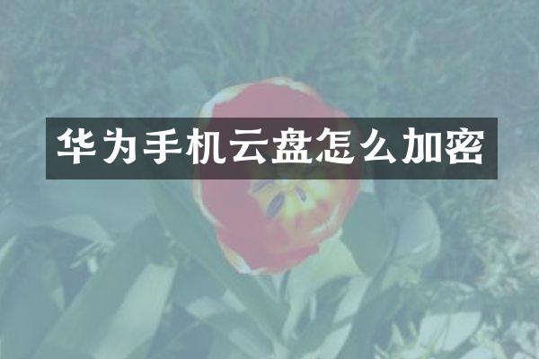 华为手机云盘怎么加密