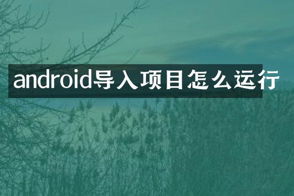 android导入项目怎么运行