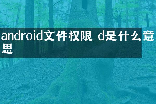 android文件权限 d是什么意思