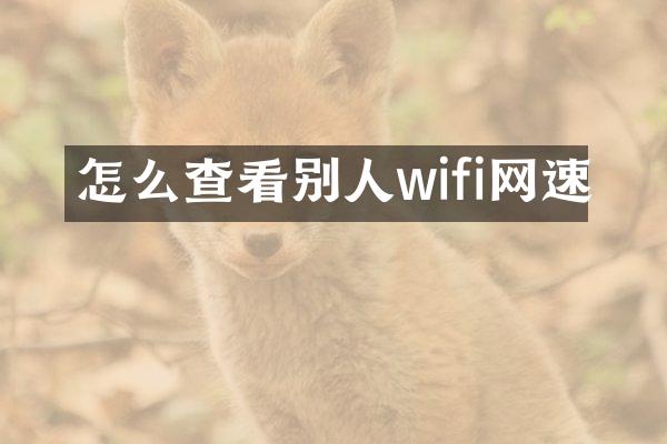 怎么查看别人wifi网速
