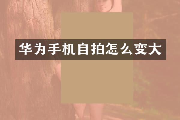 华为手机自拍怎么变大