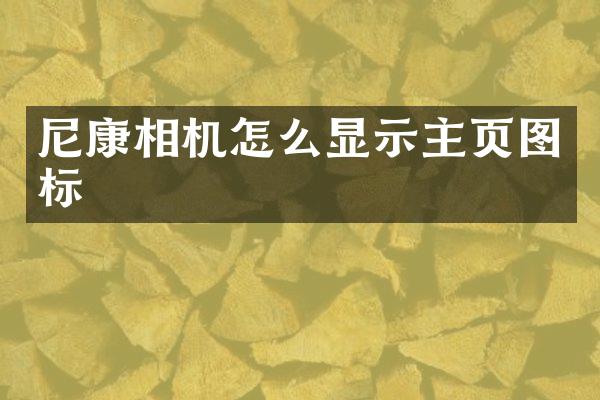 尼康相机怎么显示主页图标