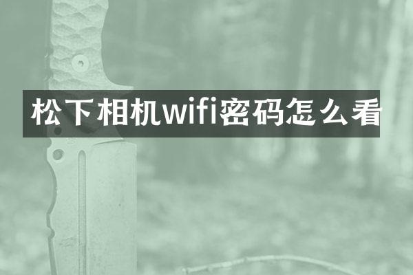 相机wifi密码怎么看