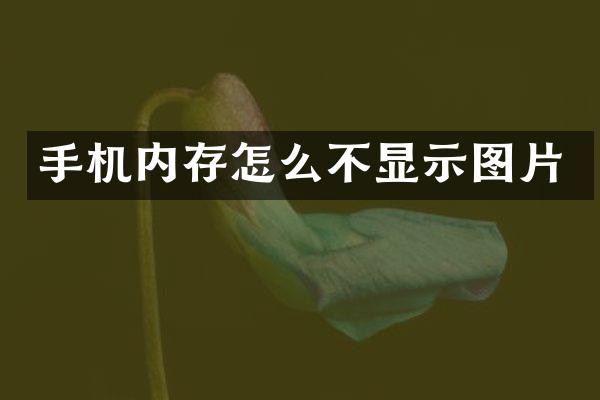 手机内存怎么不显示图片