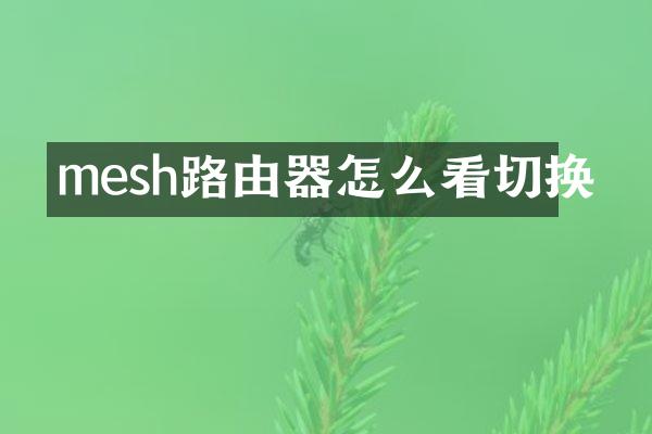 mesh路由器怎么看切换