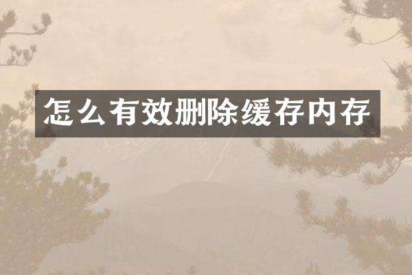 怎么有效删除缓存内存